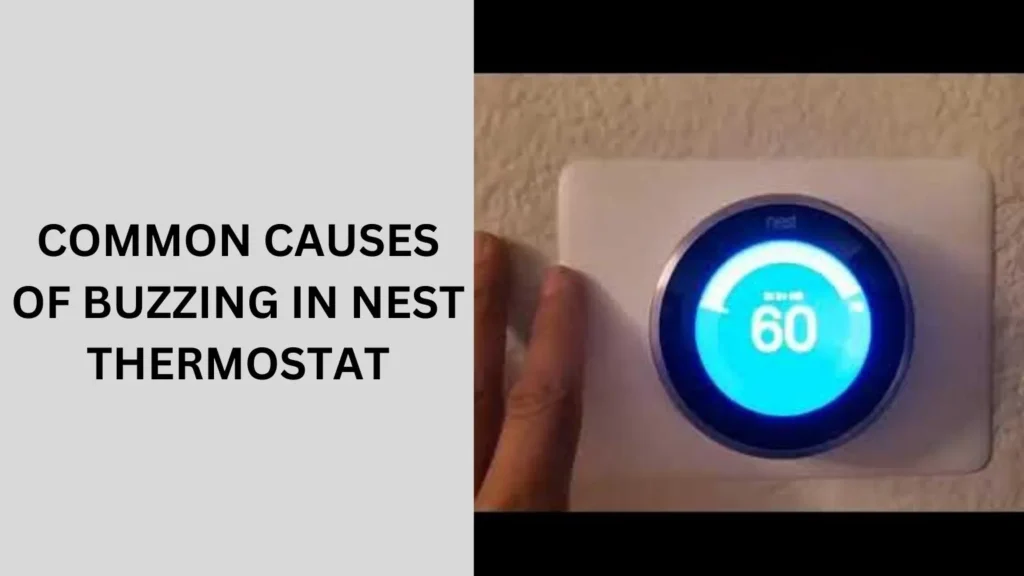 Common Causes of Buzzing in Nest Thermostat