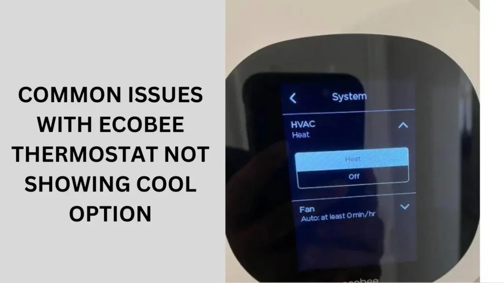 Common Issues with Ecobee Thermostat Not Showing Cool Option