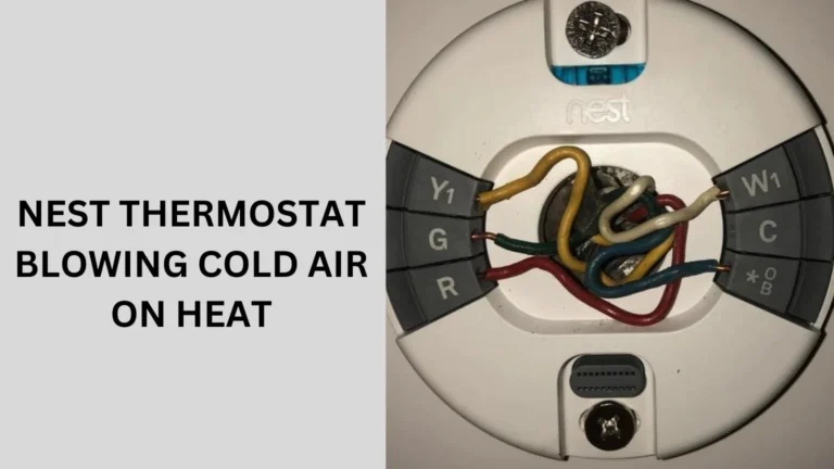 Nest Thermostat Blowing Cold Air on Heat