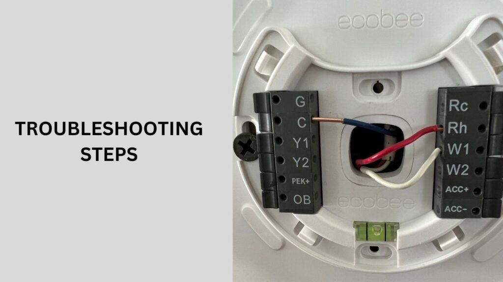 Troubleshooting Steps