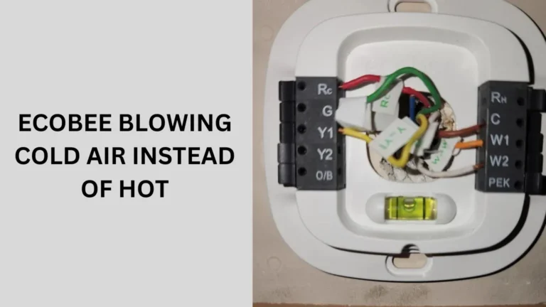 Ecobee Blowing Cold Air Instead of Hot